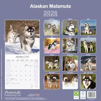 Alaskan Malamute Kalender 2026 - thumbnail