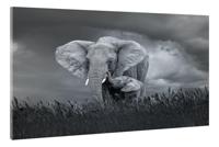 Schilderij - Moeder en baby olifant, Zwart-Wit, 2 maten, Premium print - thumbnail