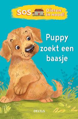 Deltas SOS Dieren in nood!   puppy zoekt een baasje