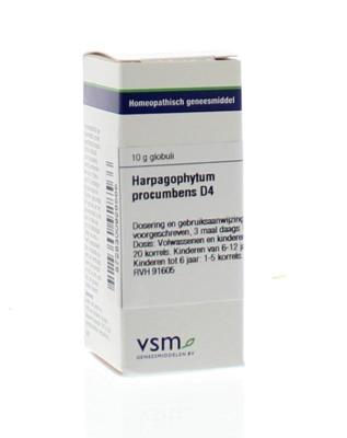 VSM Harpagophytum procumbens D4 10 Gram VSM Harpagophytum procumbens D4 10 Gram