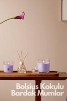 Bolsius Geurglas True Scents Vanilla 80/73 - thumbnail