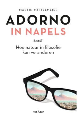 Adorno in Napels (Paperback)