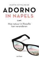 Adorno in Napels (Paperback) - thumbnail