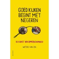 Goed kijken begint met negeren - Wieteke van Zeil - Paperback (9789045036557) - thumbnail