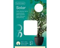 Solar plantlampjes warm wit Lumineo - Lumineo - thumbnail