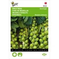 Spruitkool Groninger - thumbnail