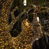 LED lichtsnoer Lumisky YOGY SOLAR WARM 400 LEDS Zwart noir 1 W - thumbnail