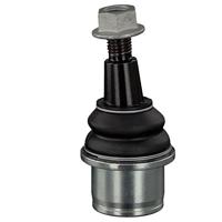 Fuseekogel 40887 - thumbnail