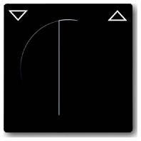 Busch-Jaeger centraalplaat 1740-81 antraciet - thumbnail