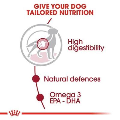 Royal Canin Medium Adult natvoer hond (in saus) 1 doos (10 x 140 g) - thumbnail