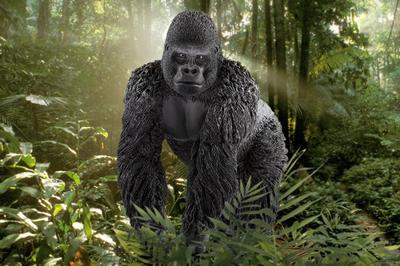 Schleich wild life gorilla, mannetje 14770