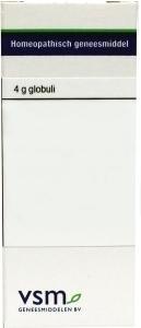 VSM Argentum nitricum LM18 4 Gram