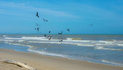 Meeuwen zee 130x70cm Tuinschilderij Customize-it - Customize it Meeuwen zee 130x70cm Tuinschilderij Customize-it - Customize it