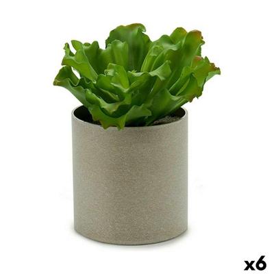 Decoratieve plant Ibergarden 20 x 25 x 20 cm (6 Stuks)