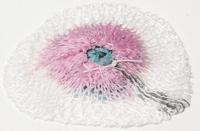 Rothenberger Gloeikous (3-pack) - thumbnail