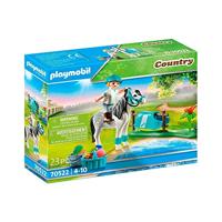 Playmobil 70522 Country Collectie Pony Klassiek - thumbnail