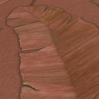 Livingwalls Metropolitan Stories. Travel Stories - Rood Bruin - Floral - 392181 - thumbnail