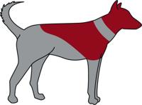 TRIXIE BESCHERMKRAAG OPBLAASBAAR BLAUW XS 20-24X8 CM - thumbnail