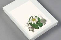 Flora (Paperback) - thumbnail