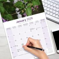 Dalmatier Puppies Kalender 2026 - thumbnail