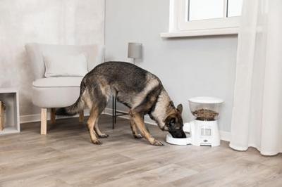 Trixie tx7 automatische voerdispenser wit