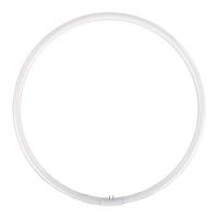 Falcon eyes reserve ringlamp voor flc-55 55w - thumbnail