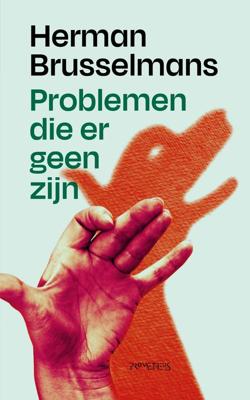 Problemen die er geen zijn - Herman Brusselmans - ebook