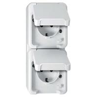 Merten 4074949 AquaStar Compleet Wandcontactdoos met randaarde en klapdeksel spatwaterdicht Polar-wit 2-voudig 1 stuk(s)