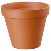 Pot terracotta d22h18.5 cm Terraliet - Hortus - thumbnail