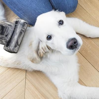 Zakloze stofzuiger - H.KoeNIG STC58 - 850 W - 79 dB - Klasse A - 2,5 L