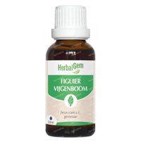 Herbalgem Vijgenboom Bio 30ml - thumbnail
