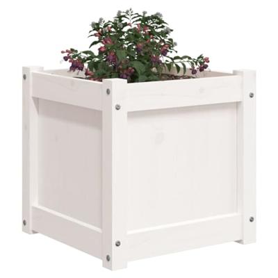 Plantenbak 40x40x40 cm massief grenenhout wit