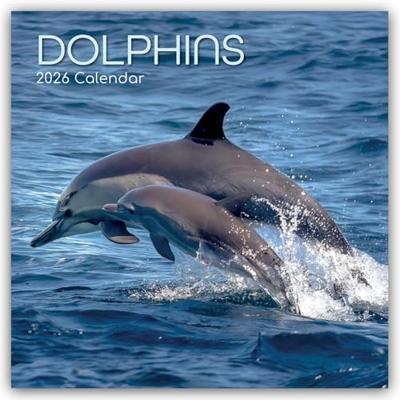 Dolfijnen Kalender 2026 Dolfijnen Kalender 2026