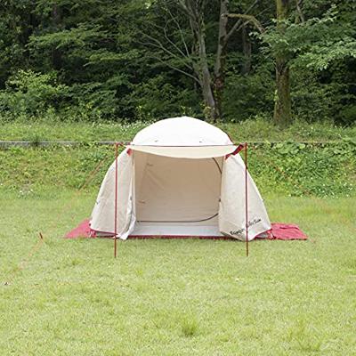 MSR 4&apos; Adjustable Pole Tentstok