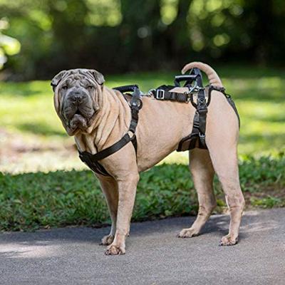 Solvit Petsafe carelift voor en achter