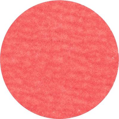 PFERD TOOLS 42749508 Kleinefiberschijf Diameter 50 mm Aluminium, Brons, RVS, Titanium 100 stuk(s)