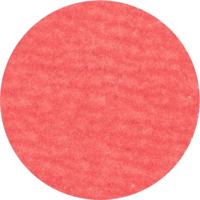 PFERD TOOLS 42749508 Kleinefiberschijf Diameter 50 mm Aluminium, Brons, RVS, Titanium 100 stuk(s) - thumbnail