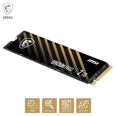 MSI SPATIUM M461 PCIe 4.0 NVMe M.2 2TB