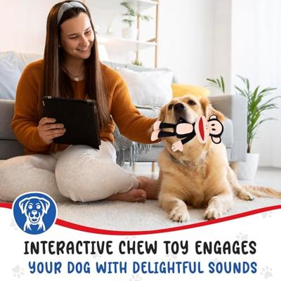 PAUL FRANK PLUCHE AAP JULIUS