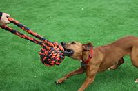 Happy pet nuts for knots extreme bal tugger 60x24x24 cm - thumbnail