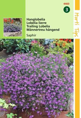 Zaden Lobelia Hanglobelia Saphir Hortitops - Hortitops
