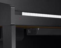 Casio Celviano Grand Hybrid GP-310 digitale piano zwart - thumbnail
