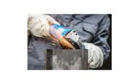 PFERD TOOLS 64181125 Schuurschijf Diameter 125 mm Korrelgrootte (num): 36 10 stuk(s) - thumbnail