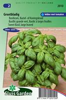 Basilicum zaden grove Ocimum Basilicum - thumbnail