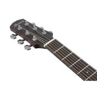 Ibanez AAM740E Platinum Collection Natural Low Gloss elektrisch-akoestische westerngitaar met hardshell case - thumbnail