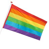Regenboog vlag - thumbnail
