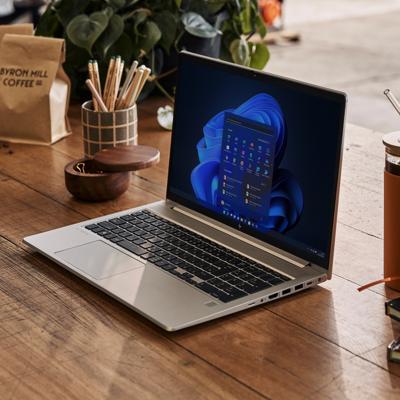 HP ProBook 450 G9 Notebook - Wolf Pro Security