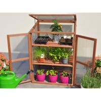 Rosemarys Choice kweekkas - thumbnail