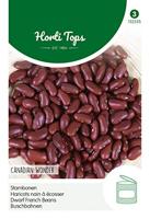 Zaden Stambonen Canadian Wonder (Kidney) 15g Hortitops - Hortitops - thumbnail