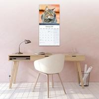 Katten Kalender 2026 - thumbnail